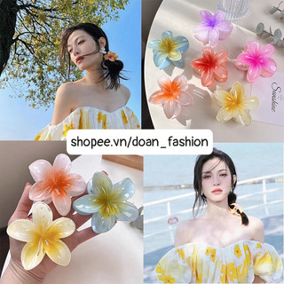 Kẹp tóc hoa sứ cực dễ thương nhiều màu sắc.