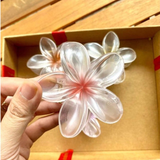 Kẹp tóc hoa sứ cực dễ thương nhiều màu sắc.