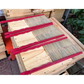 Chổi quét ong mật lông