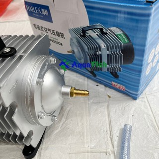 Máy sủi oxy bể cá Hailea 135w (chuyên dụng sủi oxy cho các bể thủy hải sản)