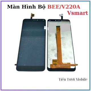 Màn hình bộ vsmart Bee/V220A