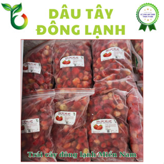 [Ship hỏa tốc tại HCM] Dâu tây Đà Lạt đông lạnh túi 1Kg loại phổ thông
