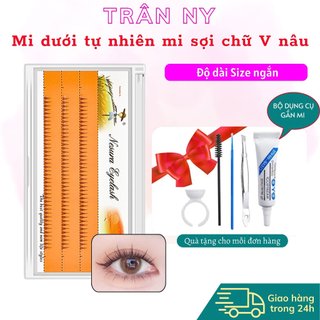Mi dưới tự nhiên mi sợi chữ V nâu D01N siêu mảnh mi dưới tự nối tại nhà sợi đơn tự nhiên size 6mm tranny_lenscontact