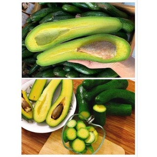 🥑bơ 034 lâm đồng - 1kg /3-4 trái