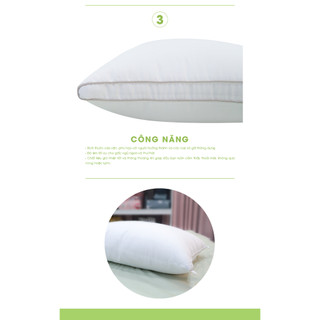 Ruột gối Everon Classicsoft (cao vừa, mềm) 5-15cm