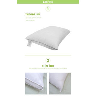 Ruột gối Everon Classicsoft (cao vừa, mềm) 5-15cm
