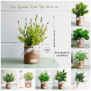 Hoa giả, Hoa cắm lọ cói trang trí, để bàn trang trí nhà cửa