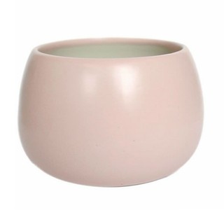 chậu sứ mini hình hạt dẻ