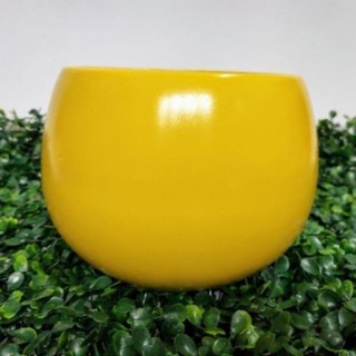 chậu sứ mini hình hạt dẻ