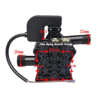 Đầu máy bơm rửa xe mini (có kèm rơ le điện )