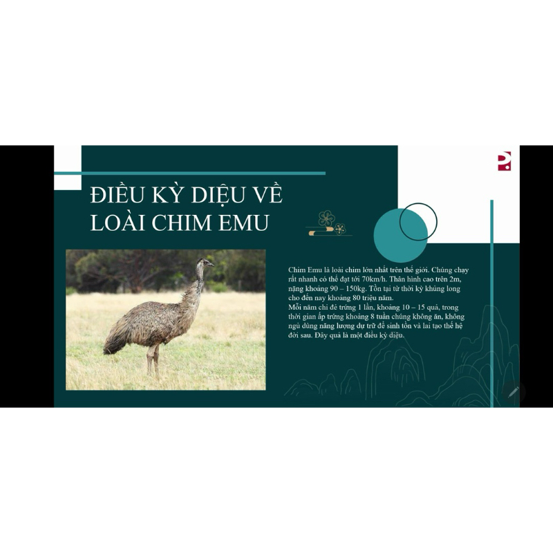 Dầu EMU cream - kem EMU cream perfect giải quyết các vấn đề về da giảm đau thông kinh lạc.