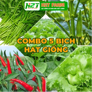 Combo 5 bịch hạt giống: rau muống, mồng tơi, đậu bắp, ớt chỉ thiên, xà lách giòn - h2t farm