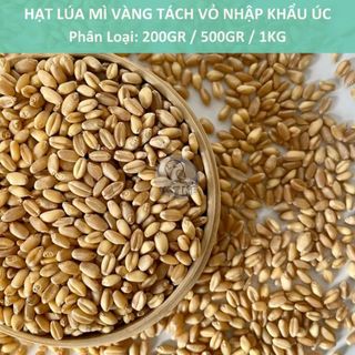 [1KG] - Lúa Mì Vàng Tách Vỏ Nhập Khẩu Úc - Vẹt, Bồ Câu, Gà