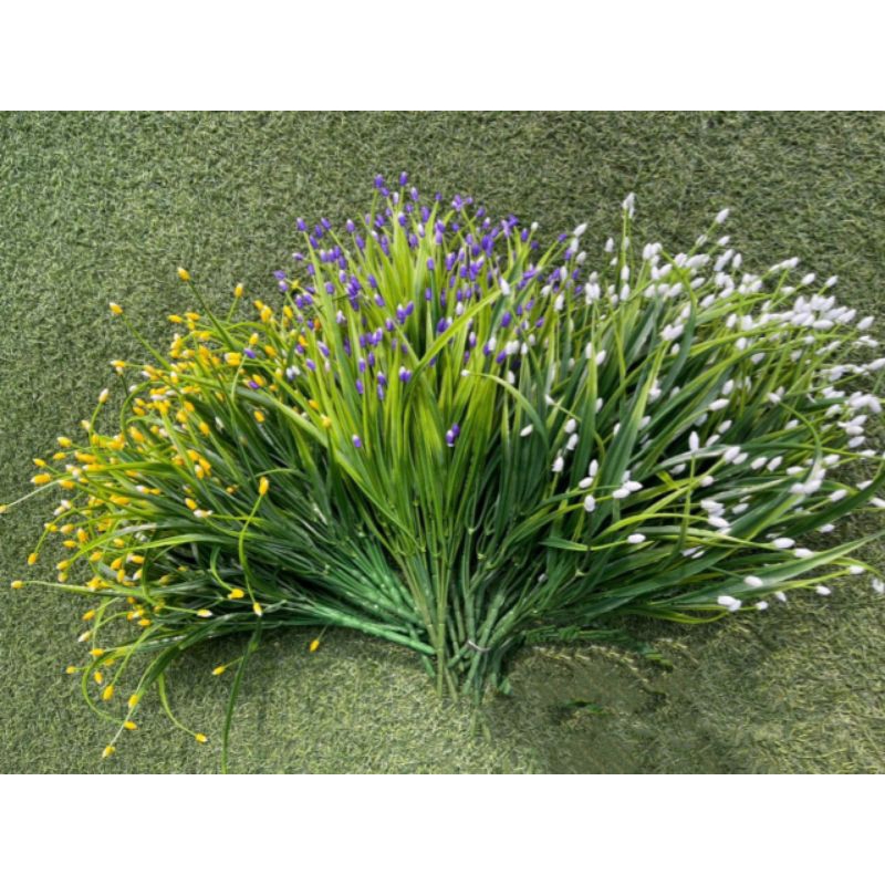 Cỏ điểm cỏ hẹ 7nhánh