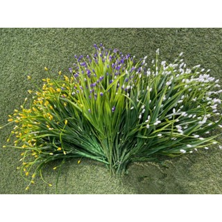 Cỏ điểm cỏ hẹ 7nhánh