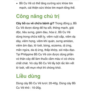 bồ cu vẽ chuẩn giống (cây giống nhanh có trái)