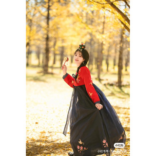 Hanbok nữ hàn quốc thêu chân váy ( sẵn )