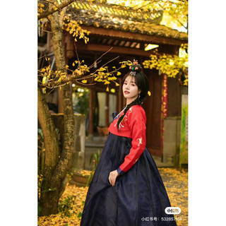 Hanbok nữ hàn quốc thêu chân váy ( sẵn )