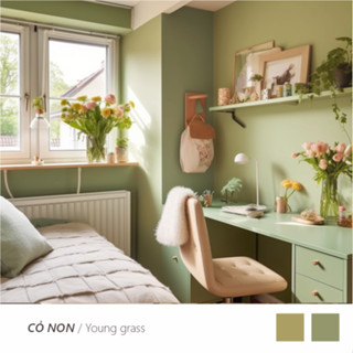 Sơn tường nội thất Loho House | Chủ đề: Cỏ non | Sơn nước cao cấp Loho-paint tone màu xanh non