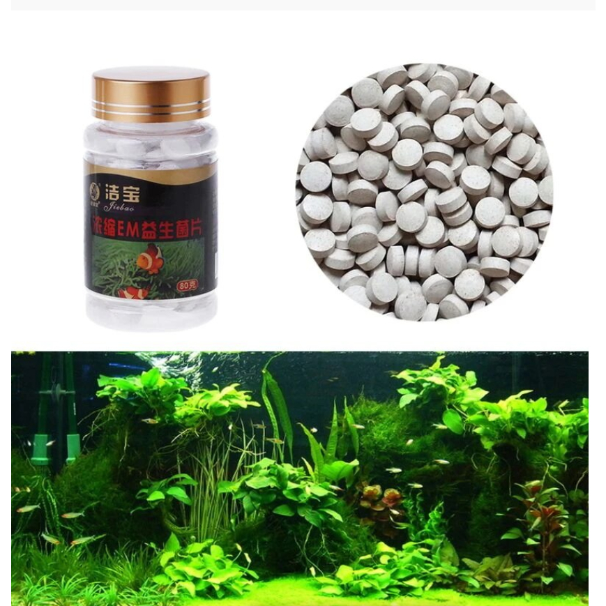 Vi Sinh Làm Trong Nước Bể Cá Cảnh Hiệu Quả, Viên Vi Sinh EM Dạng Viên Nén Xử Lý Nước Bể Cá, Phân Hủy