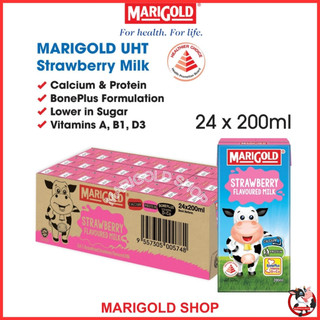 Sữa Marigold vị dâu thùng 24 hộp 200ml công thức Bone Plus