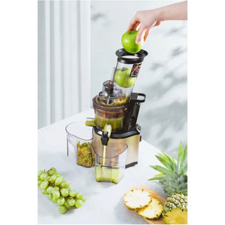 Máy ép chậm OLIVO SJ200