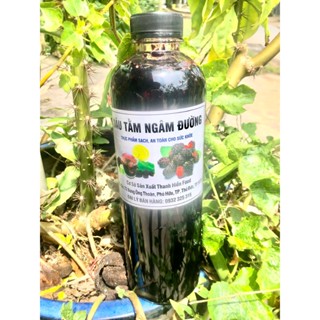  Dâu tằm ngâm đường phèn 1,3 kg không lên men loại có trái dâu 