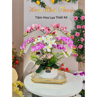 Chậu lan Tiểu hồ điệp cao su, hướng hoa 1 mặt Mẫu hoa để bàn trang trí