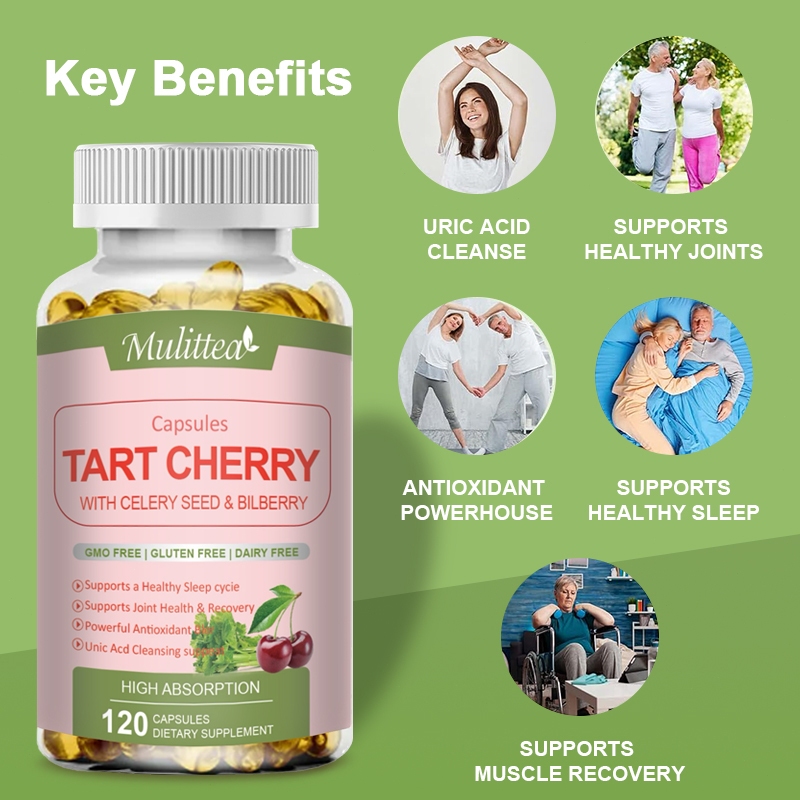 Mulittea Tart Cherry Uric Acid Clean Organic Caraway Seed Chiết xuất Bilberry Hỗ trợ chung Cơ bắp Sức khỏe Ngủ