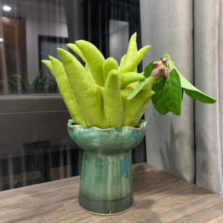 LY PHẬT THỦ-Cốc Phật Thủ- GỐM SỨ BÁT TRÀNG