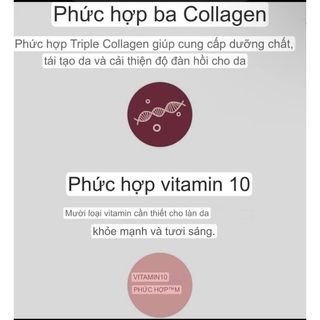 Phấn nước kiềm dầu ASHE7 CUSHION