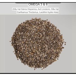 Phấn nước kiềm dầu ASHE7 CUSHION