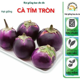 Hạt giống cà tím tròn gói 2 gram - Hạt giống hoa An An