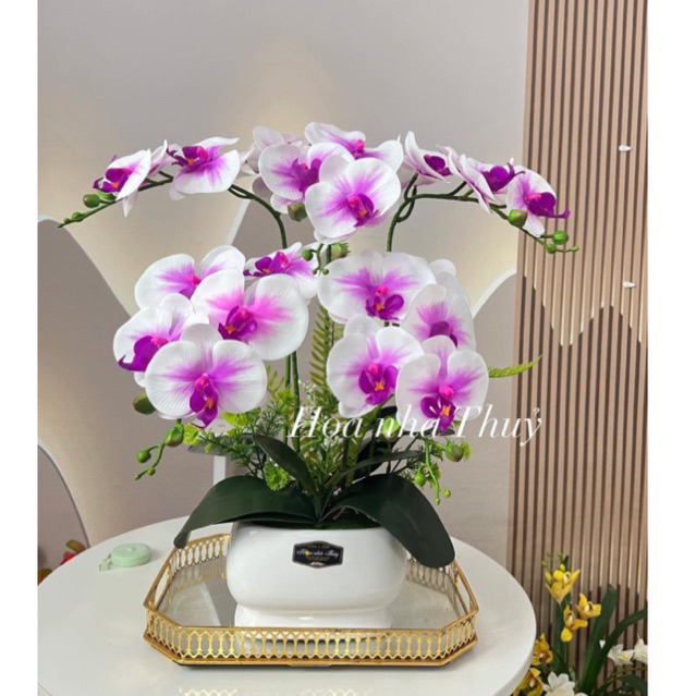 Chậu hoa lan hồ điệp giả 5 cành hoa cắm 1 mặt, chậu hoa cao 50-55cm