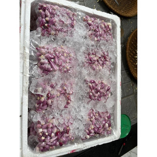 hành tỏi lý sơn bóc sẵn
