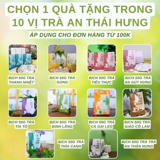  10 Vị Trà Tốt Cho Sức Khỏe An Thái Hưng - Bịch 2 túi lọc 5gram