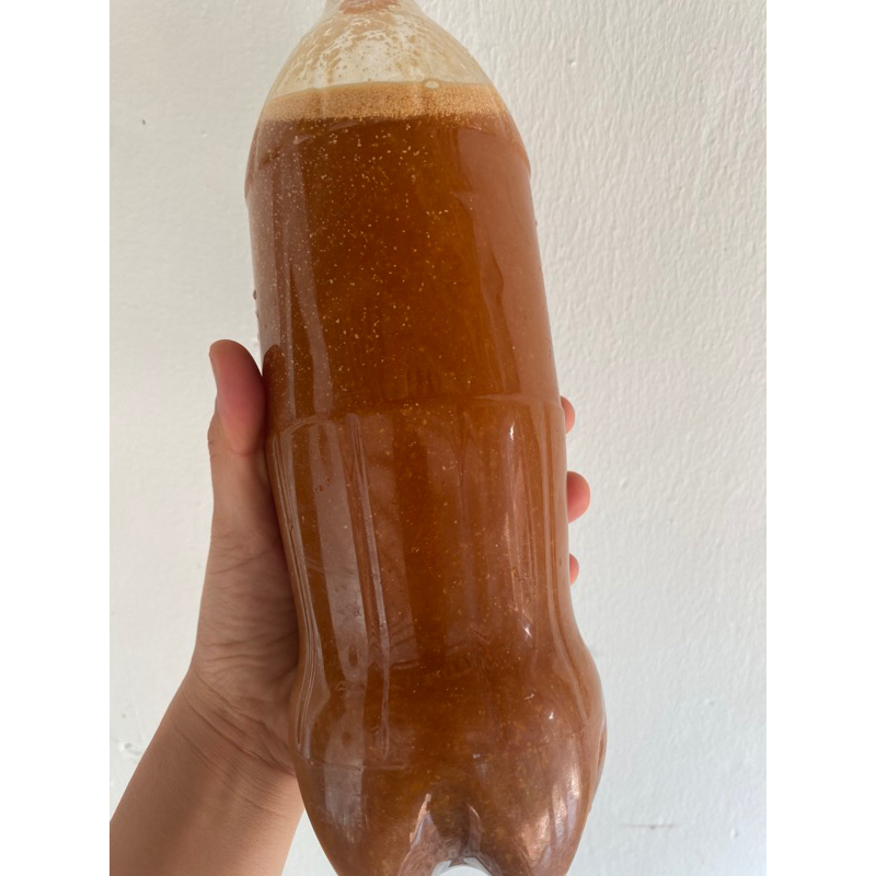 Dịch chuối , trứng , sữa 1 lít