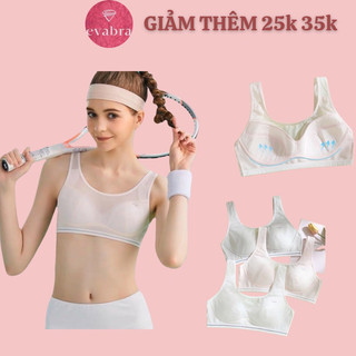 Áo lót áo ngực học sinh cấp 2 cấp 3 t004