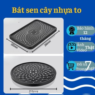 Bát sen cây, bát sen ABS to cao cấp, bát sen tắm đứng mạ nano