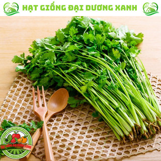 Hạt giống rau mùi ta, rau ngò tía, rau ngò rí