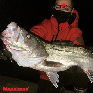 Mồi Câu Lure Megabass Karashi SW