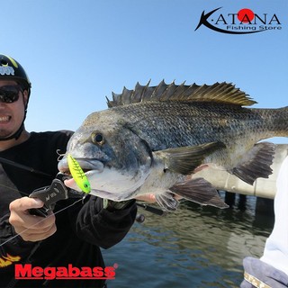 Mồi Câu Lure Megabass Karashi SW