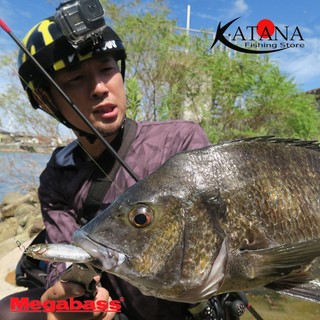 Mồi Câu Lure Megabass Karashi SW