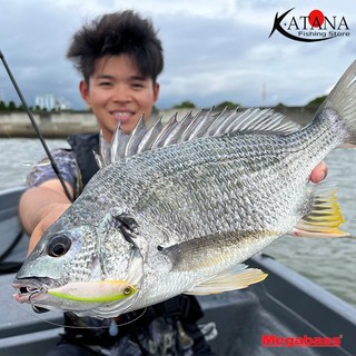 Mồi Câu Lure Megabass Karashi SW