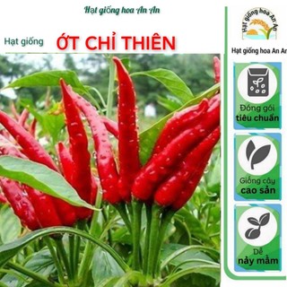 -hạt giống ớt chỉ thiên f1 siêu cay | tỷ lệ nảy mầm cao