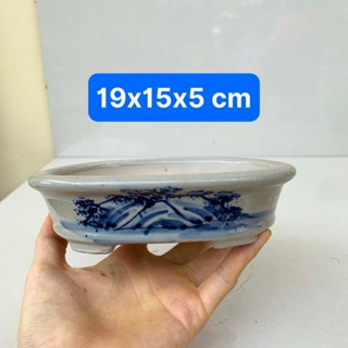 Chậu Oval men bóng cổ bonsai cây cảnh mini gốm Bát tràng SP867