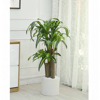 Cây thiên mộc lan giả - Cây giả decor trang trí hàng cao cấp, cao 100cm (không bao gồm chậu)