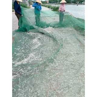 Cá cơm mờm sữa khô chuẩn Ba Làng Thanh Hoá