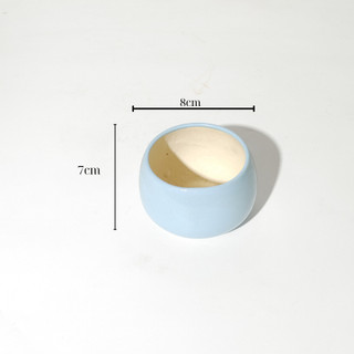 Chậu hạt dẻ trơn mini dùng trồng sen đá cây mini .