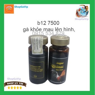 B12 7500 gà đá đỏ khỏe, bo khủng